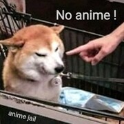 Шамшурина Арина