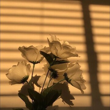 Гаджимагомедова Патимат Халиловна Гаджимагомедова Патимат Халиловна