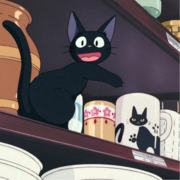 Сидорова Екатерина