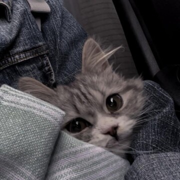 Пантелеев Всеволод Игоревич