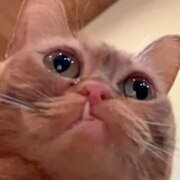 Шевцов Владислав Сергеевич