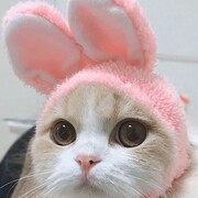 Агаев Новруз Агаев Новруз