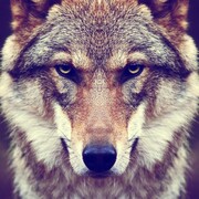 Кожин Александр Александрович