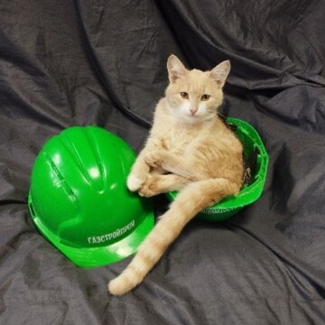 Евгений Леонидович Чурин