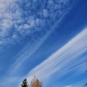 Мария Романюк