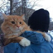 Мамыкин Роман Мамыкин Роман