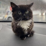 Винник Даня