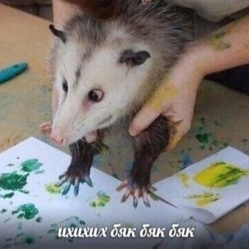 Сизова Дарья Сергеевна