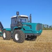 Кокшарова Лена