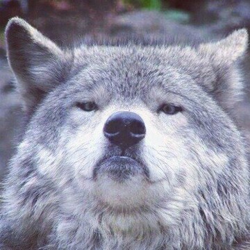 Феоктистов Тёма Николаевич Феоктистов Тёма Николаевич