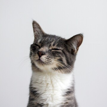 Анатолий Николаевич Ушаков