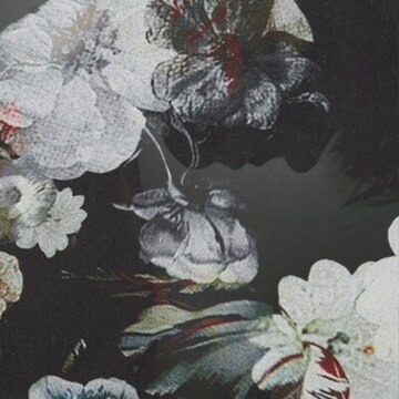 Лолита  Задесенец