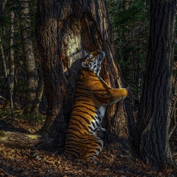 Игорь  Зотьев