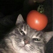 Федоров Дмитрий Михайлович