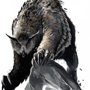 Чекушкина Арина