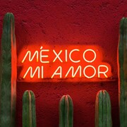 Арина Андреева