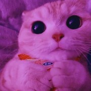 Аглетдинов Рамис