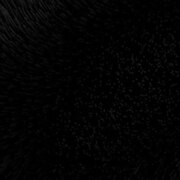 Леоненко Анастасия Сергеевна