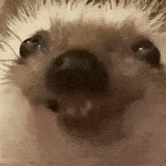 Олег Павлович Карчигин