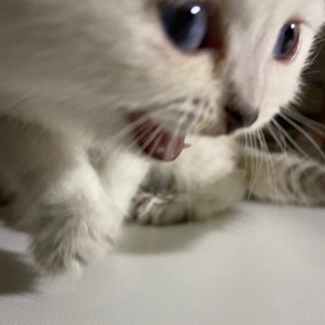 Хеда Усмановна Садыкова