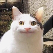 Иванов Даниил Романович