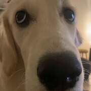 Яндыганов Сергей Тимурович Яндыганов Сергей Тимурович