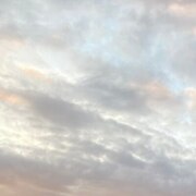 Степанова Анна Олеговна