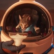 Тамлиани Давид Русланович Тамлиани Давид Русланович