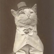 Аушев Вадим Владимирович Аушев Вадим Владимирович