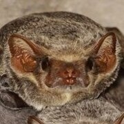 Кириллов Иван Владимирович