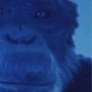 Коноплин Василий Михайлович