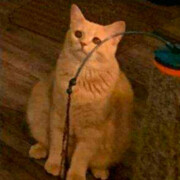 Воронов Ян Алексеевич Воронов Ян Алексеевич