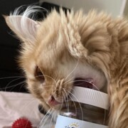 Еськов Виталий Сергеевич Еськов Виталий Сергеевич