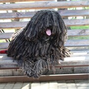 Инкина Софья Инкина Софья