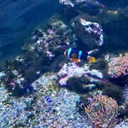 Вьюн Данил Евгеньевич