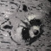 Сорокин Ярослав Андреевич