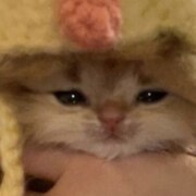 Васильева Лиза Дмитриевна