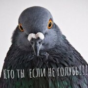 Яговцев Алексей Сергеевич