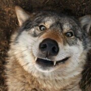 Елизаров Евгений Григорьевич