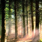 Литвинов Валерий Павлович