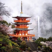 Багирова Амина