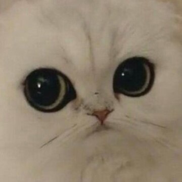 Овчаренко Екатерина Вадимовна