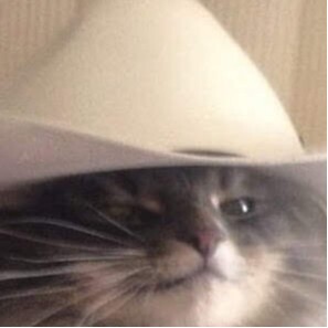 Мастяев Алексей Анатольевич Мастяев Алексей Анатольевич