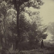 Нурмагомедова Мадина Рашидовна Нурмагомедова Мадина Рашидовна