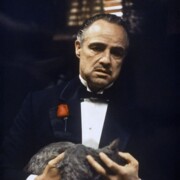 Лютова Елизавета Николаевна