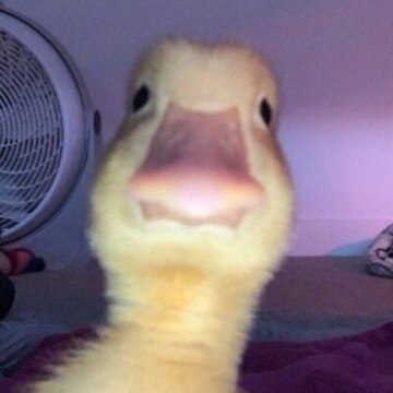 Богатырева Диляра Айтековна