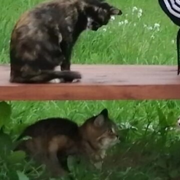 Игнаткович Василий Васильевич