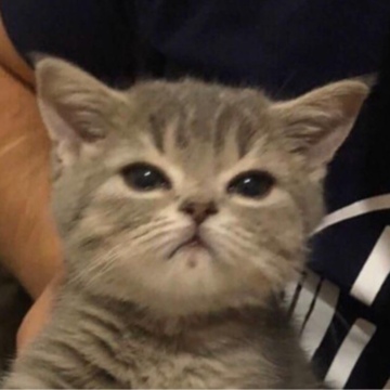 Паутин Александр Романович Паутин Александр Романович