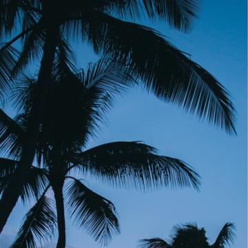 Мороз Денис Юрьевич