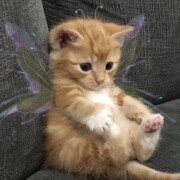 Сергеева Дарья Николаевна